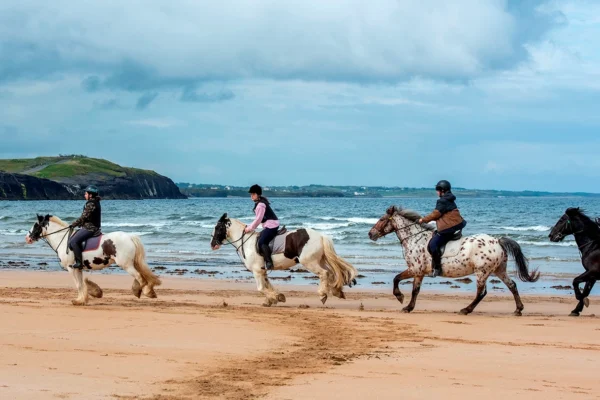 wk 28 horse (am) (43)