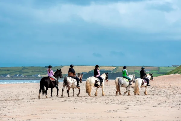 wk 28 horse (am) (54)